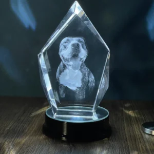 CRISTAL 3D 11
