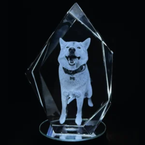 CRISTAL 3D 20A