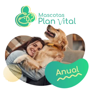 Banner anual- mensual 750x750_1-02