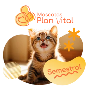 Banner anual- mensual 750x750_1_1